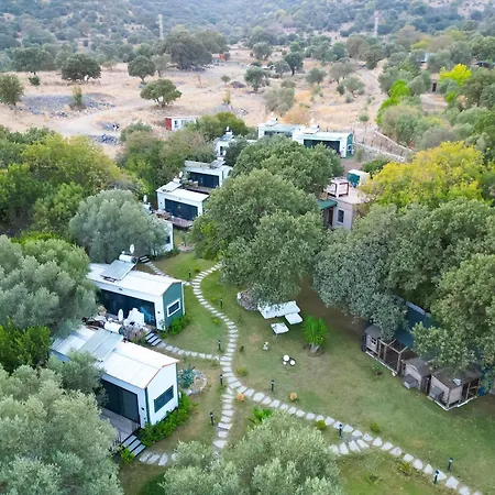 Alya Hill Αλικαρνασσός